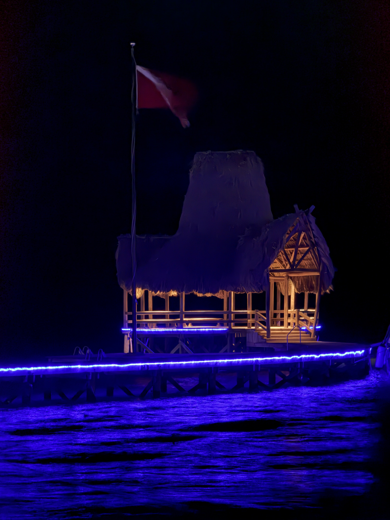 Edge of the Reef: Wild Belize in Frame
