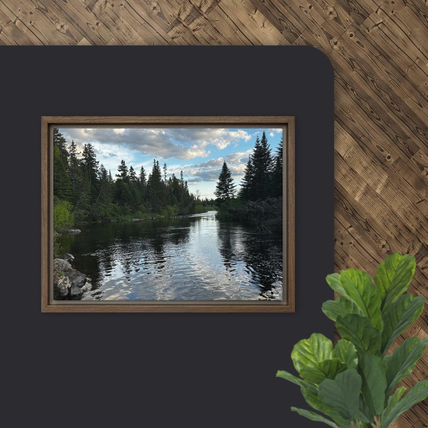 The Joyful Drifter Studio Collection